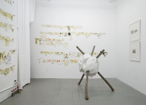 Exhibition view, Russell Maycember, Christina Pettersson, and Brian Wondergem, site95 at Launch F18, April 7 - 28, 2012