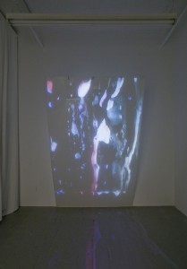 Exhibition view, Christopher Smith: Underbody, 2012