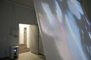 Exhibition view, Christopher Smith: Underbody, 2012