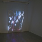 Exhibition view, Christopher Smith: Underbody, 2012